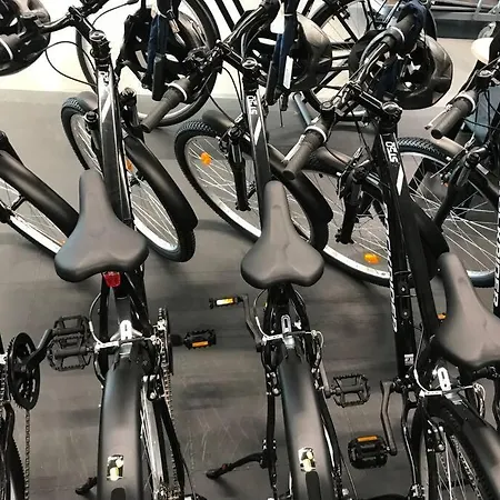 Miguel Torga Gold III Apartament Coimbra